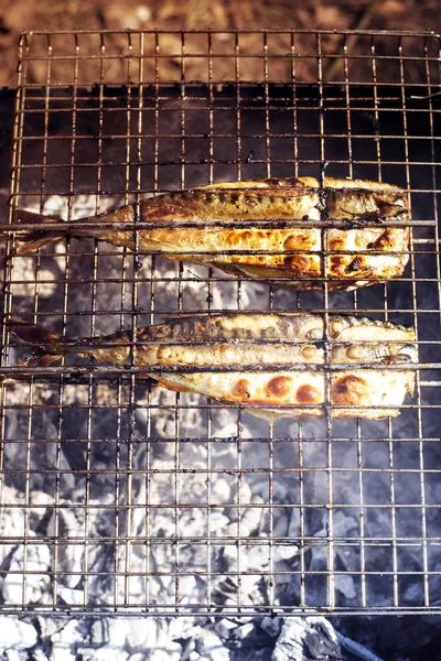 Deux Maquereaux Cuisinent Sur Gril Barbecue Été Dans Nature Repos — Photo