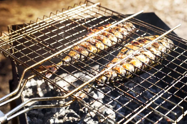 Deux Maquereaux Cuisinent Sur Gril Barbecue Été Dans Nature Repos — Photo