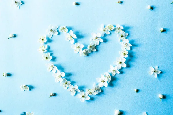 The heart is lined with white spring flowers on a blue background. Tenderness, pastel and spring mood