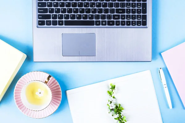 Creative workplace with laptop, notebook and flowering branch on a blue background