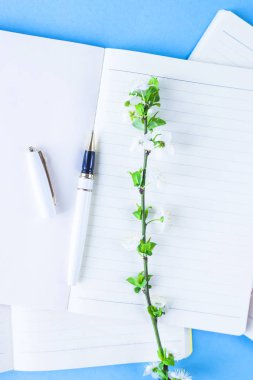 Yaratıcı bir iş ortamı üzerinde üç defter çiçekli dallar üzerinde mavi bir arka plan ile bir yığın