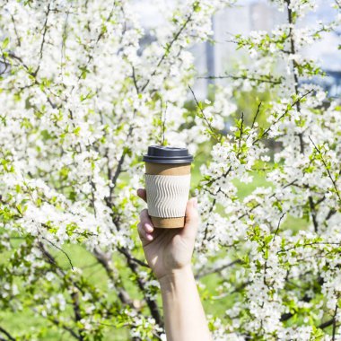 Bir kadın eli tek kullanımlık bir fincan kahve karşı yeni gelişen ağaç bahar tutar. Başında bir güzel bahar günü. İyi bir ruh hali ve yaşam tarzı