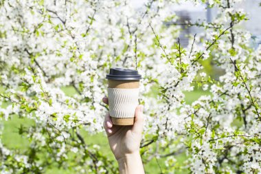Bir kadın eli tek kullanımlık bir fincan kahve karşı yeni gelişen ağaç bahar tutar. Başında bir güzel bahar günü. İyi bir ruh hali ve yaşam tarzı