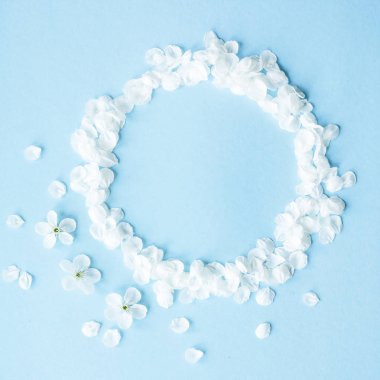 Beyaz bahar çiçek yaprakları mavi bir arka plan üzerinde sıralanır. Boşaltmak. Üstten Görünüm, düz yatıyordu