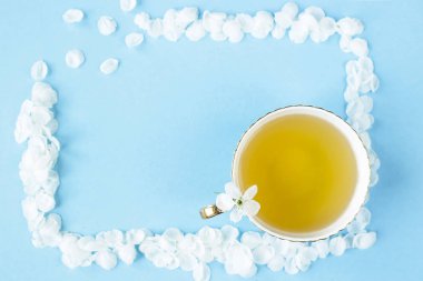 Bahar çiçek çay yanında mavi bir arka plan üzerinde beyaz yaprakları çerçevesinde. Bahar arka plan kavramı. Üstten Görünüm, düz yatıyordu