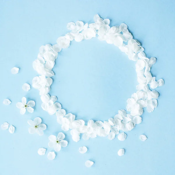 White spring flowers petals are lined up on a blue background. Copyspace. Top view, flat lay