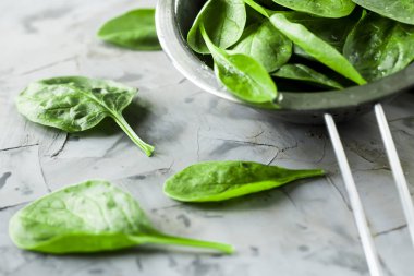 Gri bir arka plan üzerinde metal bir kevgir içinde ıspanak yıkanır. Sağlıklı yemekler yemek için taze yeşil yaprakları