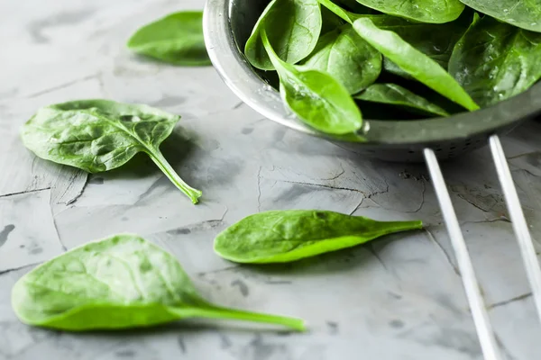 Gri bir arka plan üzerinde metal bir kevgir içinde ıspanak yıkanır. Sağlıklı yemekler yemek için taze yeşil yaprakları