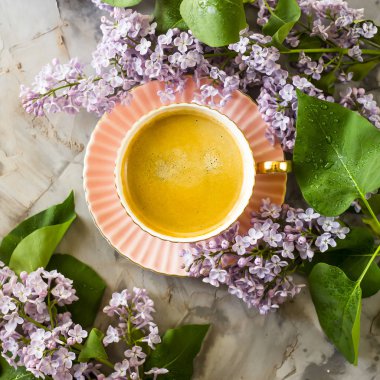 Pembe bir fincan kahve ile bir gri beton masaya Lila çiçek. Bahar kavramı. Üstten Görünüm, düz yatıyordu