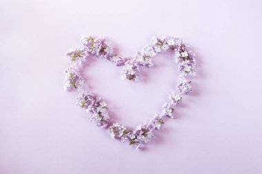 Eflatun çiçekler mor bir arka plan üzerinde bir kalp şeklinde dizilmiş. arka plan. Üstten Görünüm, düz, yatıyordu, kopya alanı