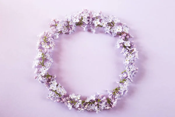 Lilac flowers lined up on a purple background. Top view, flat, lay, copy space