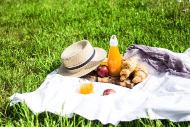 Ay çöreği, meyve suyu ve meyve beyaz duvak arasında yeşil çim üzerinde doğada yaz pikniği. Doğada eğlence