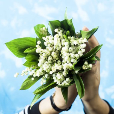 Zambak vadi içinde erkek bir buket mavi bir arka plan üzerinde eller. Üstten Görünüm, düz yatıyordu