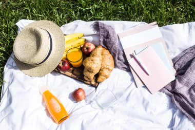 Kruvasan ve suyu dergi ve Not yastıkları yanındaki Parkta piknik. Zaman planlama ve kavram doğada bir günlük tutma