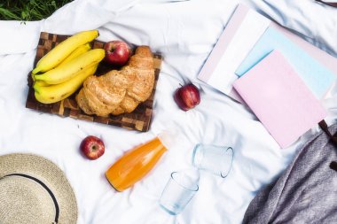 Kruvasan ve suyu dergi ve Not yastıkları yanındaki Parkta piknik. Zaman planlama ve kavram doğada bir günlük tutma