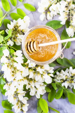 Akasya bal ve diğer nektar akasya çiçekli dallar arasında. Gri bir arka plan üzerinde. Tatlım bir tahta kaşıkla. Üstten Görünüm, düz yatıyordu