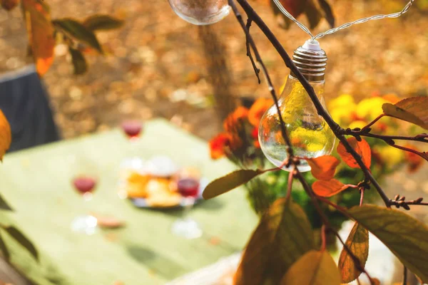 Dining table for a family holiday in the backyard in the fall. — Stock Photo, Image