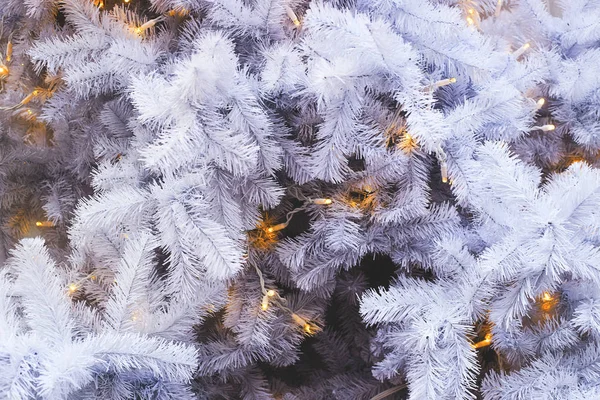 白色的云杉树枝的人造圣诞树与黄灯。 背景和复制空间. — 图库照片