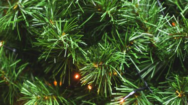 Plastiğin yeşil dalları doğal Noel ağacı arka planı değil..