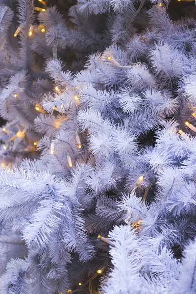 白色的云杉树枝的人造圣诞树与黄灯。 背景和复制空间. — 图库照片