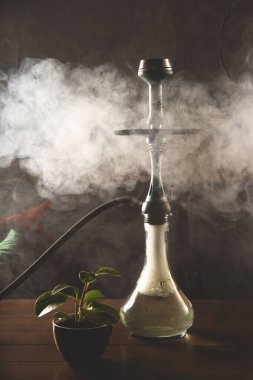 Harmful habit of smoking a hookah in a bar for relaxation concept.