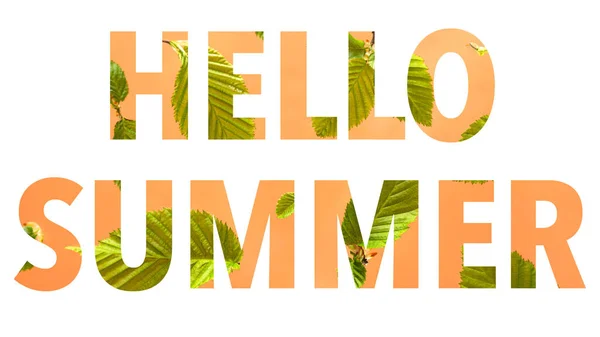 Hallo zomer geschreven door perzik achtergrond met bladeren. — Stockfoto