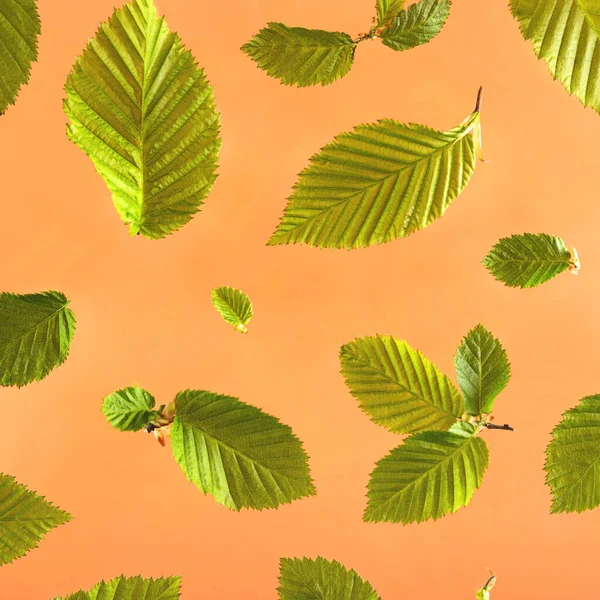 Heldere groene bladeren op een perzik achtergrond. — Stockfoto