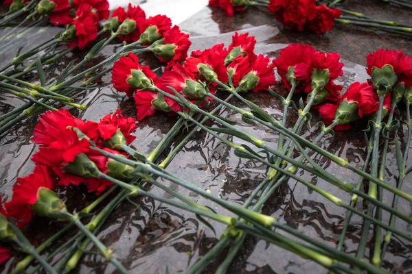 Garofani rossi laici in onore dei soldati morti al memoriale di marmo — Foto Stock