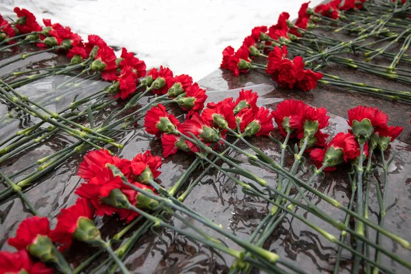 Garofani rossi laici in onore dei soldati morti al memoriale di marmo — Foto Stock