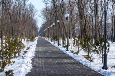 Karlı bir parktaki kaldırım geçidini temizledi