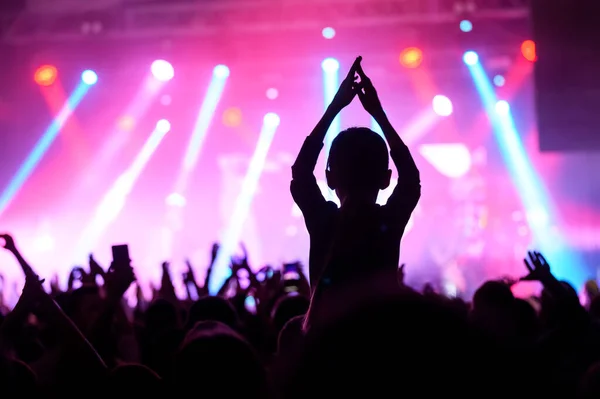 Sahnenin önünde pembe ışıkta dans eden bir kalabalığın silueti. Müzik festivali afişi. Sanatçının hayranı