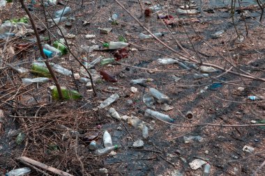 Nehir suyundaki plastik şişeler ve diğer çöpler. Okyanusların ve çevrenin kirliliği. Kirli göl suyu