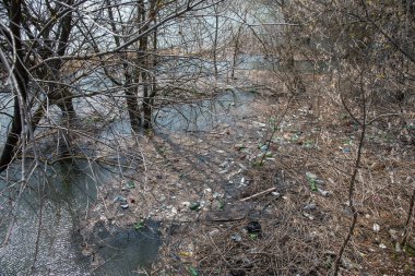 Plastik şişeler ve çeşitli çöpler nehir kıyısını kirletiyor. Çöp geri dönüşümünün çevresel sorunları. Çevre kirliliği