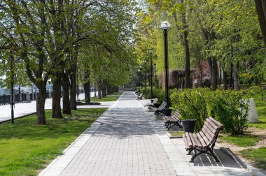 Kentteki bir parkta kaldırım taşları ve ahşap banklar. Sakin, temiz bir parkta bahar günü. kentsel alan gelişimi