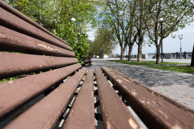 Şehir parkında boyası soyulan eski ahşap bir bank. Salgın yüzünden bahar günü boş bir park..