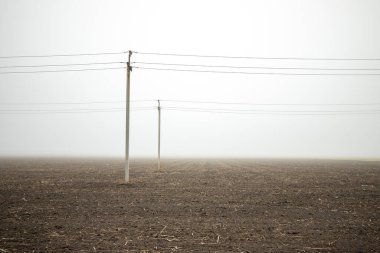 Boş bir alanda elektrik kabloları olan yüksek beton direkler. Elektrik direkleri erken sisli sabah