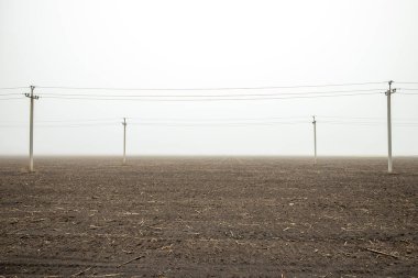 Boş bir alanda elektrik kabloları olan dört yüksek beton direk. Kuru dalları olan bir tarlada sisli bir sabah