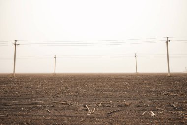Boş bir alanda elektrik kabloları olan dört yüksek beton direk. Kuru dallarla dolu bir tarlada sisli bir sabah. sonbahar doğa görünümleri