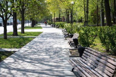 Şehrin temiz bir parkında güneşli bir gün. Ilık bir bahar gününde bisiklet süren bir adam