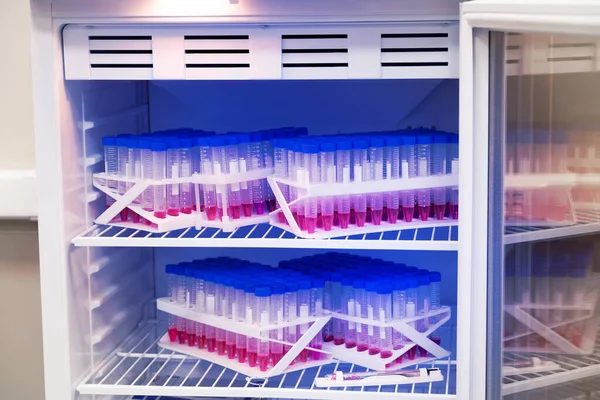 Hasta analizleriyle kapaklı şeffaf şişeleri olan laboratuvar buzdolabı.
