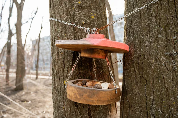 wooden feeder for squirrels and birds on chains on a tree. rodents nuts in the birdhouse in the park. taking care of hungry animals in cold weather