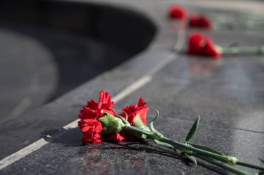 Güneşin altındaki siyah mermer bir anıtta taze kırmızı karanfiller. Cenaze için çiçekler. Savaşta ölen askerlerin anma günü. Ölülere hürmet
