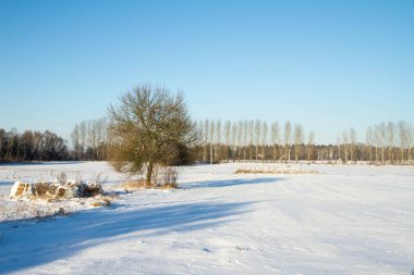 bir kış manzarası