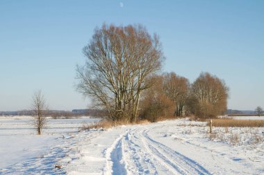 bir kış manzarası 