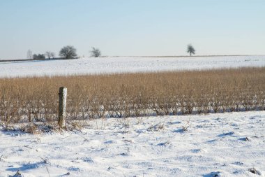 bir kış manzarası