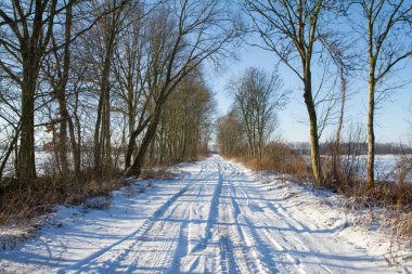 bir kış manzarası 