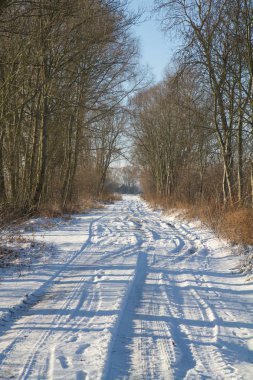 bir kış manzarası 