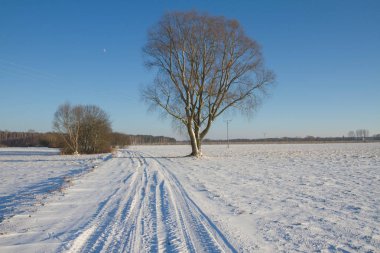 bir kış manzarası