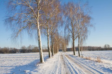 bir kış manzarası