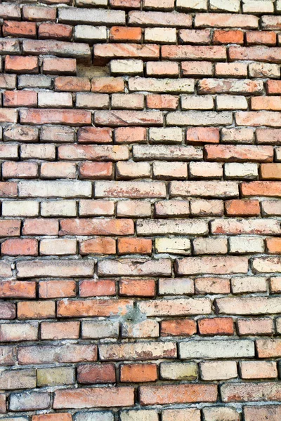 Un muro di mattoni — Foto Stock